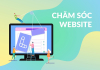 Tại sao doanh nghiệp Cần Thơ cần dịch vụ chăm sóc website định kỳ?