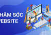 Chăm Sóc Website Chuyên Nghiệp Tại Cần Thơ – Tối Ưu Tốc Độ, Bảo Mật Và SEO