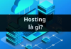 Vì Sao Doanh Nghiệp Tại Cần Thơ Cần Hosting Nhanh Và Ổn Định?