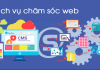 Vì Sao Doanh Nghiệp Cần Dịch Vụ Chăm Sóc Website Định Kỳ?