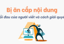 Cần làm gì khi nội dung website của bạn bị sao chép???
