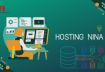 Vì sao giá thuê hosting của MITA cao hơn các đơn vị khác, nhưng đáng đầu tư?