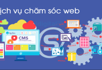 Vì Sao Doanh Nghiệp Cần Dịch Vụ Chăm Sóc Website Định Kỳ?