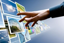 Doanh nghiệp mới thành lập nên chọn loại website nào để tối ưu chi phí nhất?