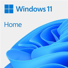 Win Home 11 64Bit Eng Intl 1pk DSP OEI DVD ( KW9-00632 )