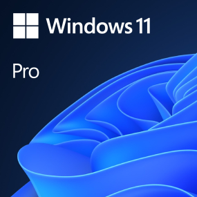 Win Pro 11 64Bit Eng Intl 1pk DSP OEI DVD ( FQC-10528 )